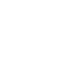 picuro logo White no Small background -Bright Box | Social Media Marketing - Auckland