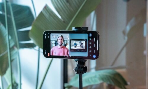short form video reels tiktok nz -Bright Box | Social Media Marketing - Auckland