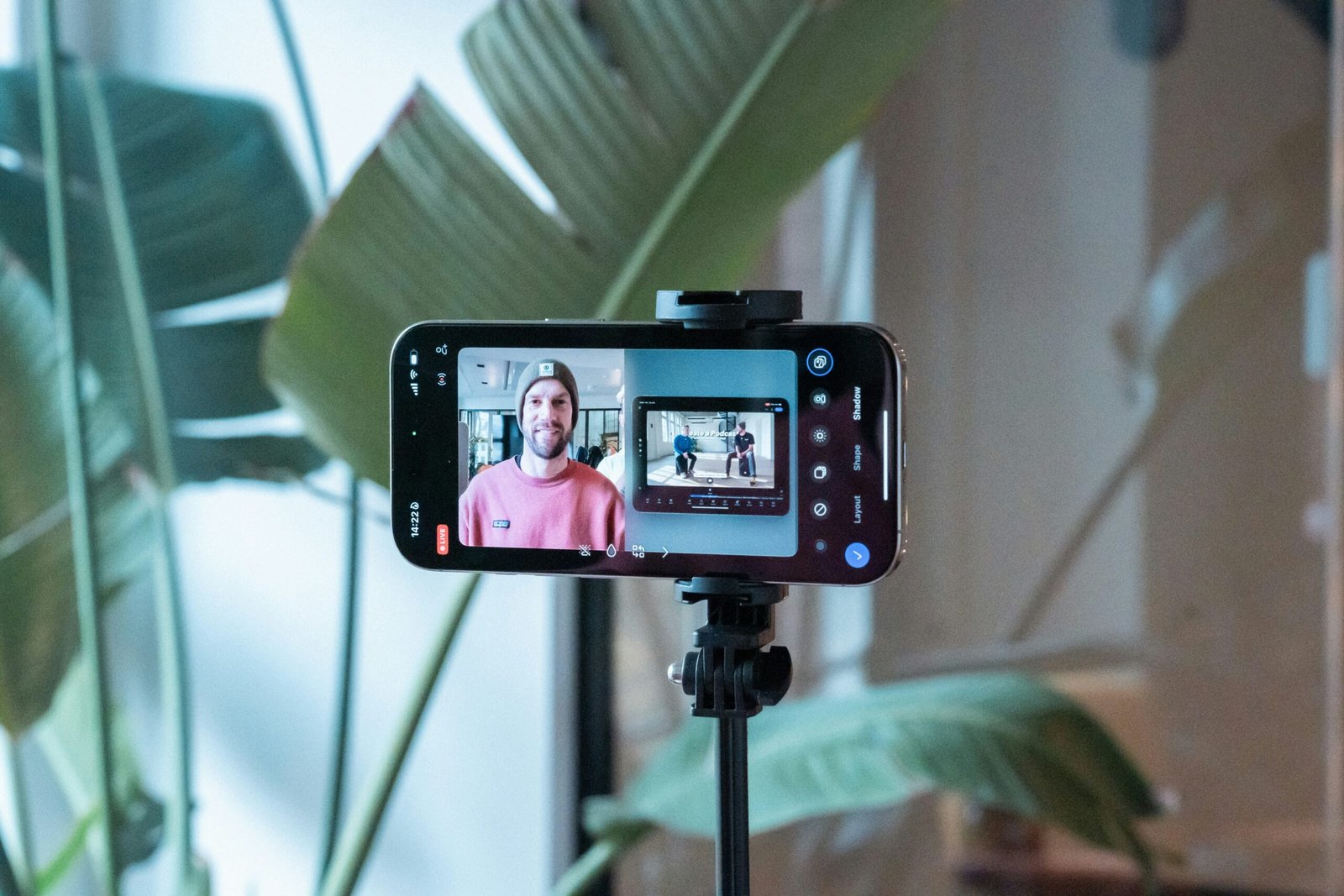 Short form video Reels TikTok NZ businesses